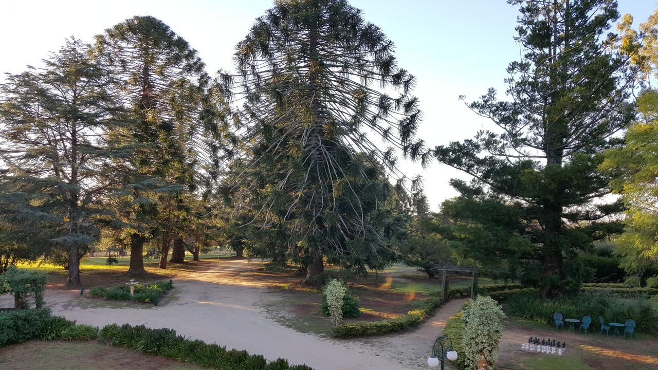 Blair Athol Homestead Inverell Exterior photo