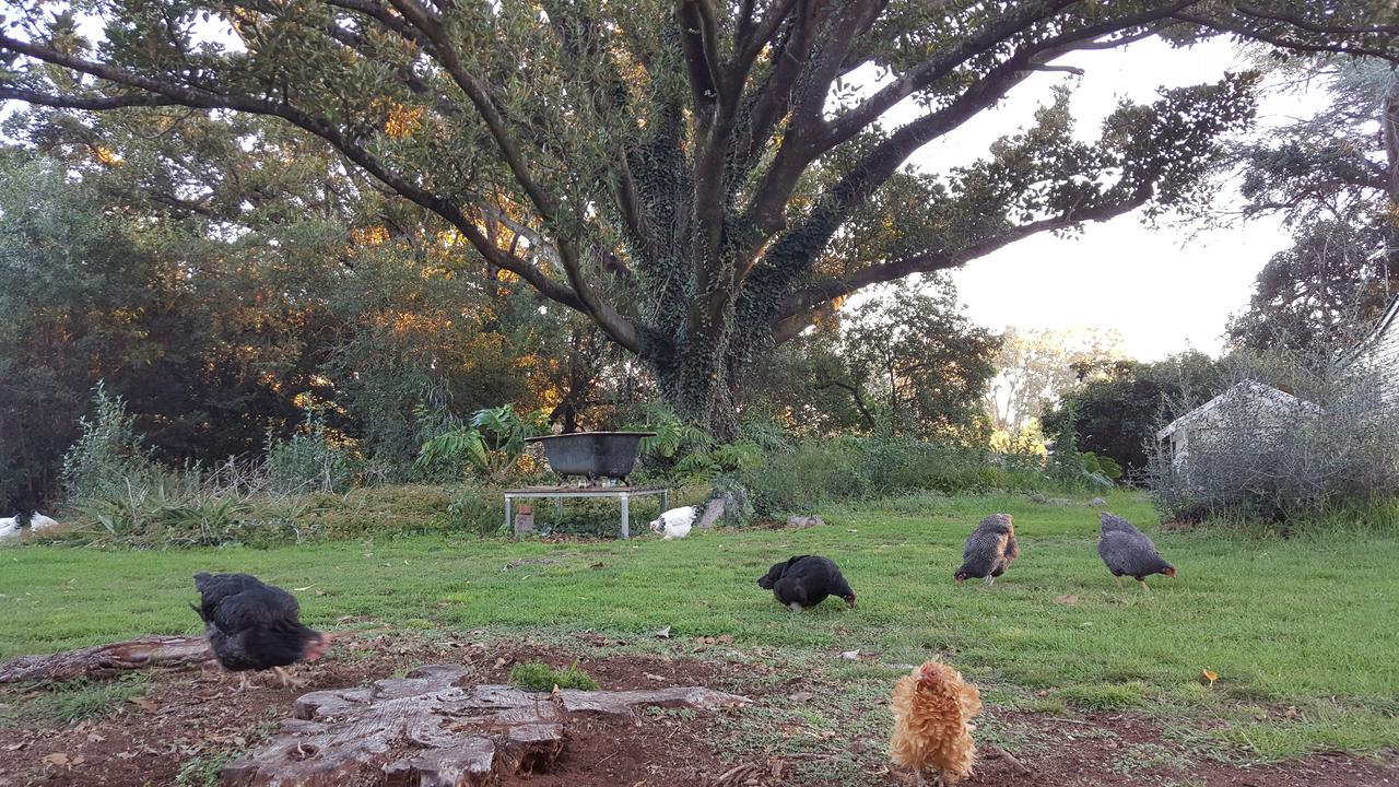 Blair Athol Homestead Inverell Exterior photo